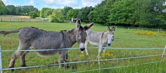 Schöne Auszeit vacation apartment - vacation apartment