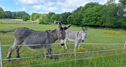 Schöne Auszeit Ferienwohnung - Ferienwohnung