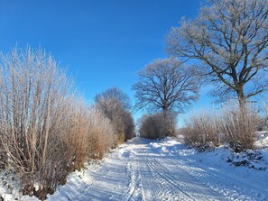 Imagen sin descripción, 3 de 32, botón