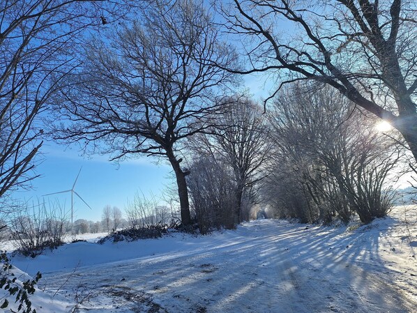 Imagen sin descripción, 1 de 32, botón