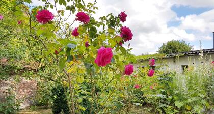Fewo Böhle in the parental home of the painter Runge - Fewo im Elternhaus Runge