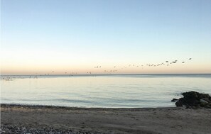 In Strandnähe, Angeln