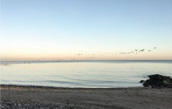 In Strandnähe, Angeln