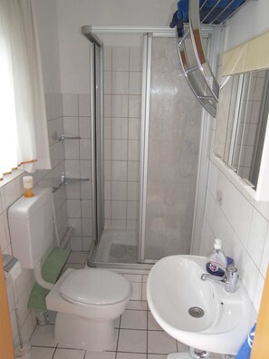 Shower, hair dryer, soap, toilet paper