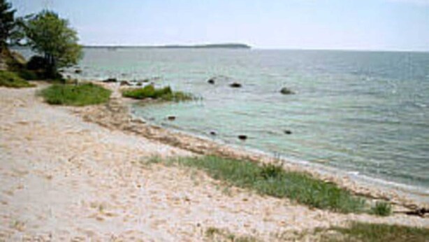 Une plage avec un rivage sablonneux et une eau calme.