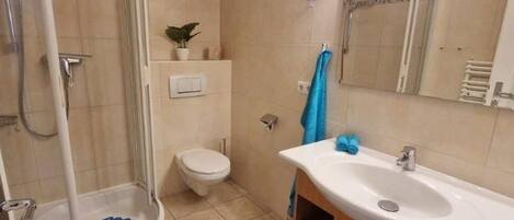 Baño con ducha, inodoro, lavabo y espejo.