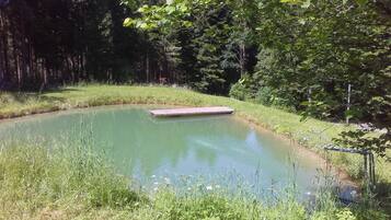 A natural pond with a wooden platform, surrounded by grass and trees.