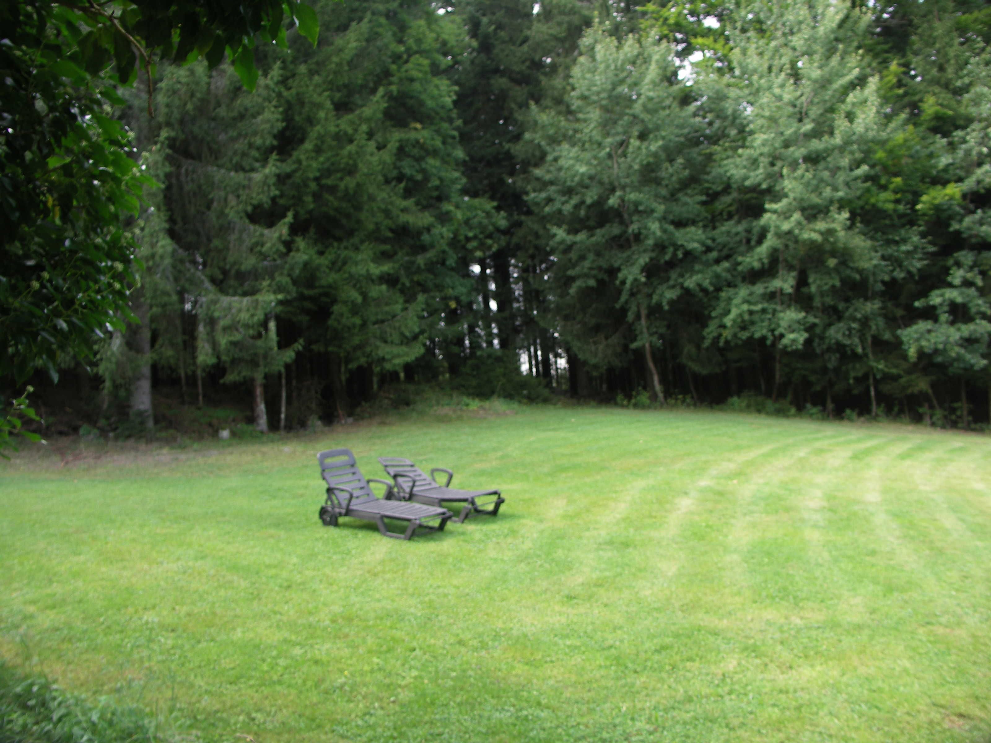 Un área con césped, dos sillas de jardín y una mesa.