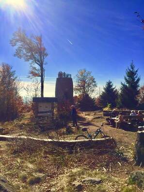 Nicht klassifiziertes Bild, 4 von 42, Schaltfläche