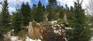 Nicht klassifiziertes Bild, 2 von 42, Schaltfläche