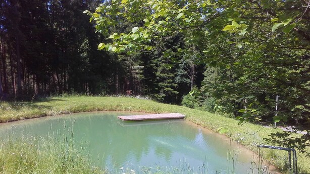 Un étang naturel avec une plateforme en bois, entouré d’herbe et d’arbres.
