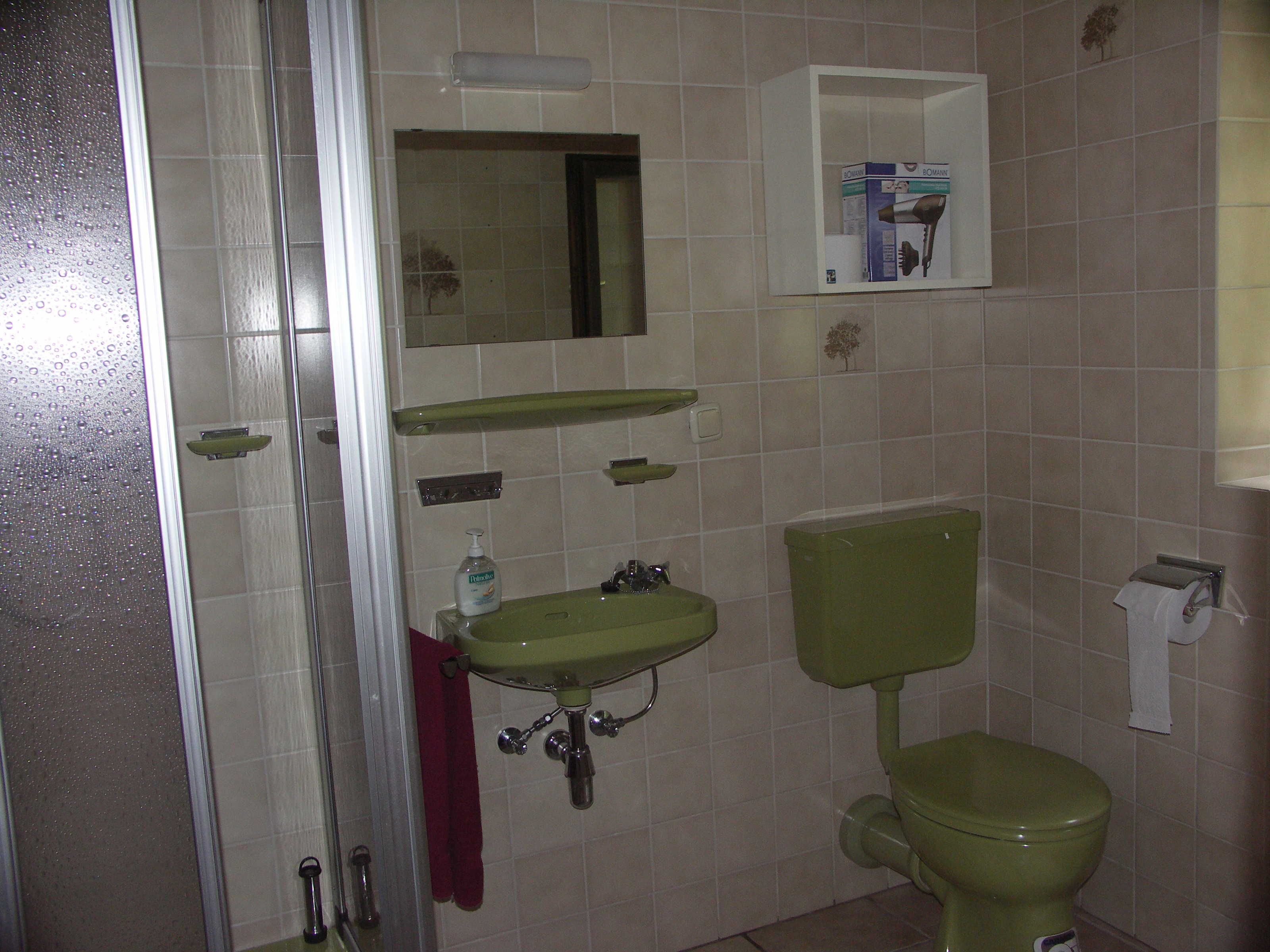 A bathroom with a green sink, a toilet, a mirror, and a shelf with toiletries.
