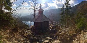 Nicht klassifiziertes Bild, 3 von 42, Schaltfläche