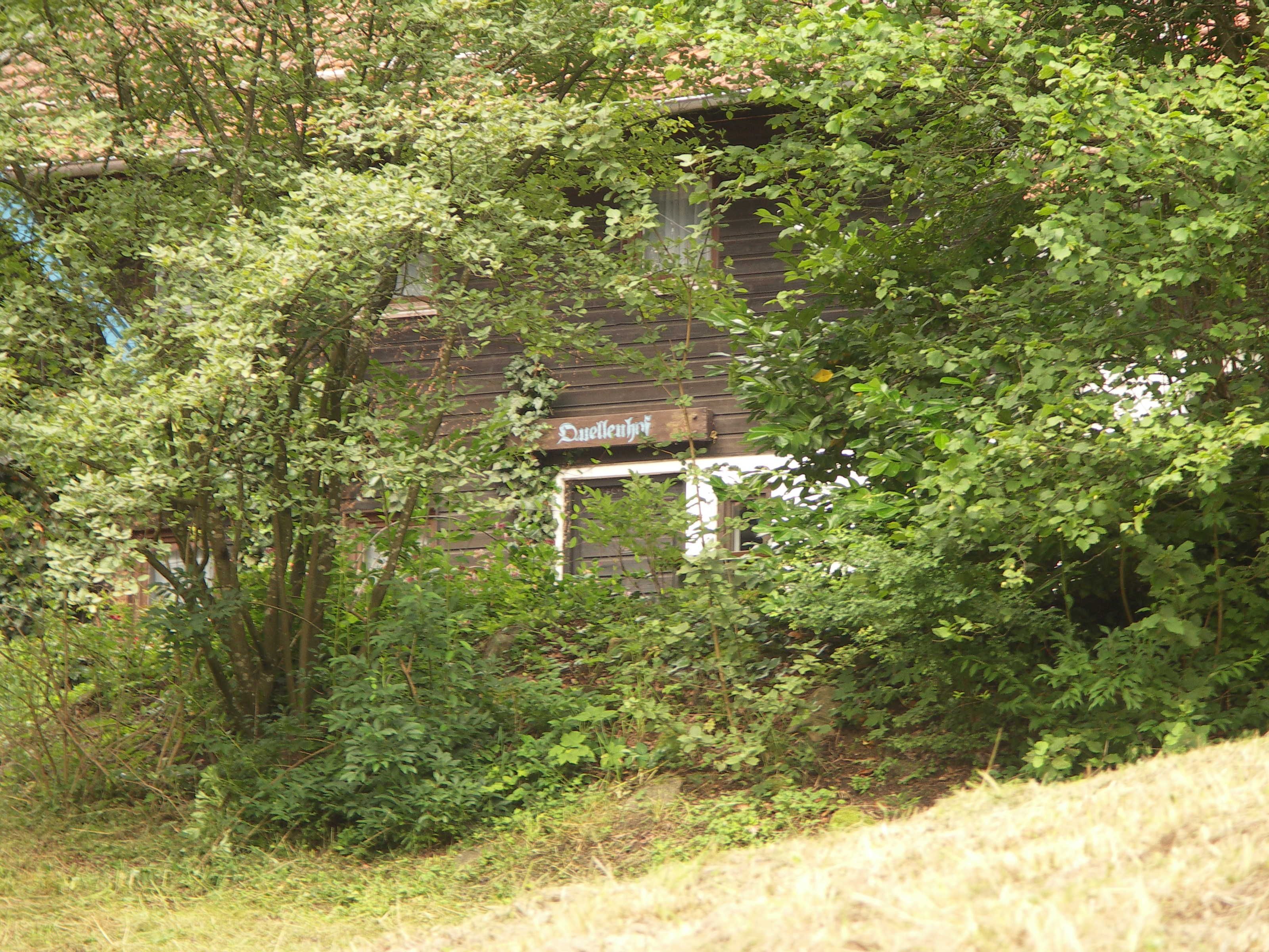 An abandoned building with overgrown vegetation, a visible sign with text, and a rustic wooden structure.