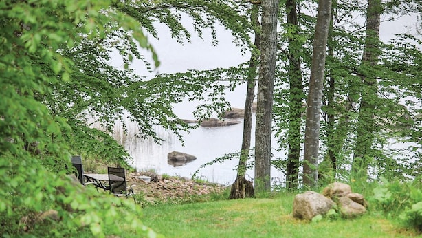 Un entorno tranquilo junto al lago, con un banco de madera y una mesa, rodeado de abundante vegetación y árboles.