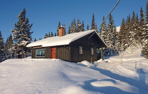 Exterior - Trollbu Granåsen/Fefor (Vinstra)