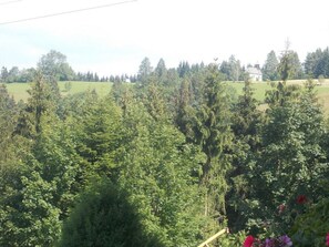 A dense forest with a house in the background. - DZ 5 - Farm Moadl (Miglberg)