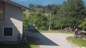 A rural building with a stone exterior, a paved driveway, and a view of mountains. - DZ 5 - Farm Moadl (Miglberg)