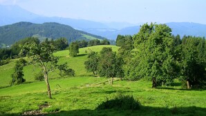A rural landscape with rolling hills, trees, and a clear sky. - DZ 5 - Farm Moadl (Miglberg)
