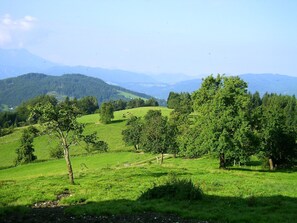 A rural landscape with rolling hills, trees, and a clear sky. - DZ 5 - Farm Moadl (Miglberg)