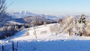A snow-covered landscape with trees and distant mountains. - DZ 5 - Farm Moadl (Miglberg)