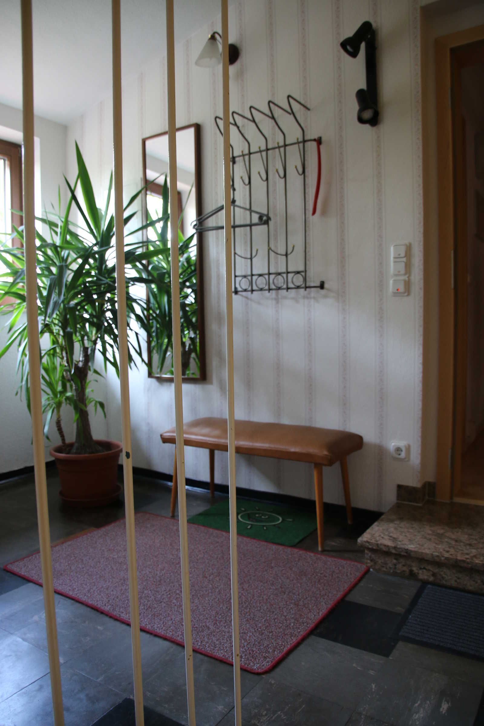 Een kamer met een houten bankje, een potplant, een kapstok aan de muur en een deur.