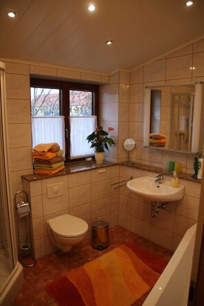 Shower, hair dryer, towels