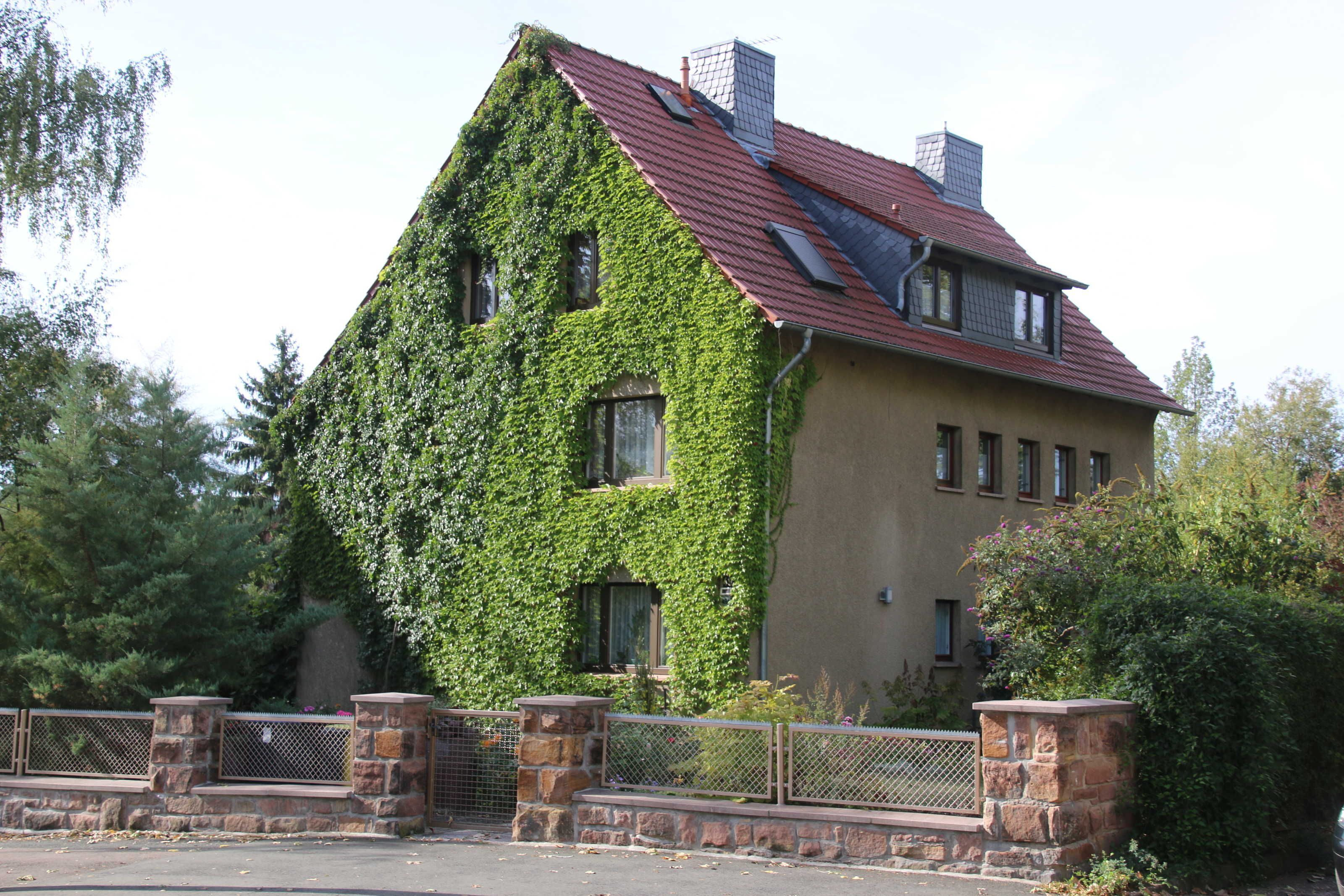 A house with a sloped roof, covered partially in ivy, and a stone fence in front.