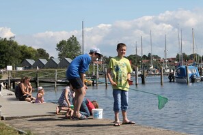 Immagine non classificata, 4 di 43, pulsante