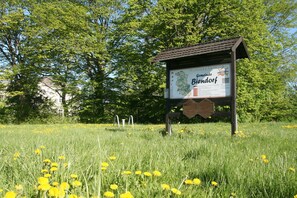 Immagine non classificata, 2 di 43, pulsante