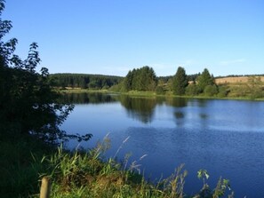 Unclassified image, 5 of 14, button