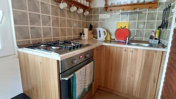 Frigorífico, microondas, horno y placa de cocina