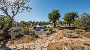Un jardín con un camino de piedra que lleva a una piscina, rodeado de diversas plantas y árboles.