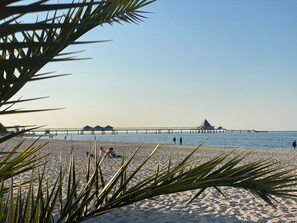 A beach with a pier extending into the water, palm trees in the foreground, and people on the sand.
