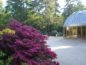 A gazebo with a dome roof surrounded by a gravel path and lush greenery. - Villa Quisisana in the Kurstraße (EC) - Apartment Villa Quisisana (Graal-Müritz)