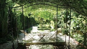 Jardí amb un tobogan, una taula i cadires sota un ventall d'arbres.