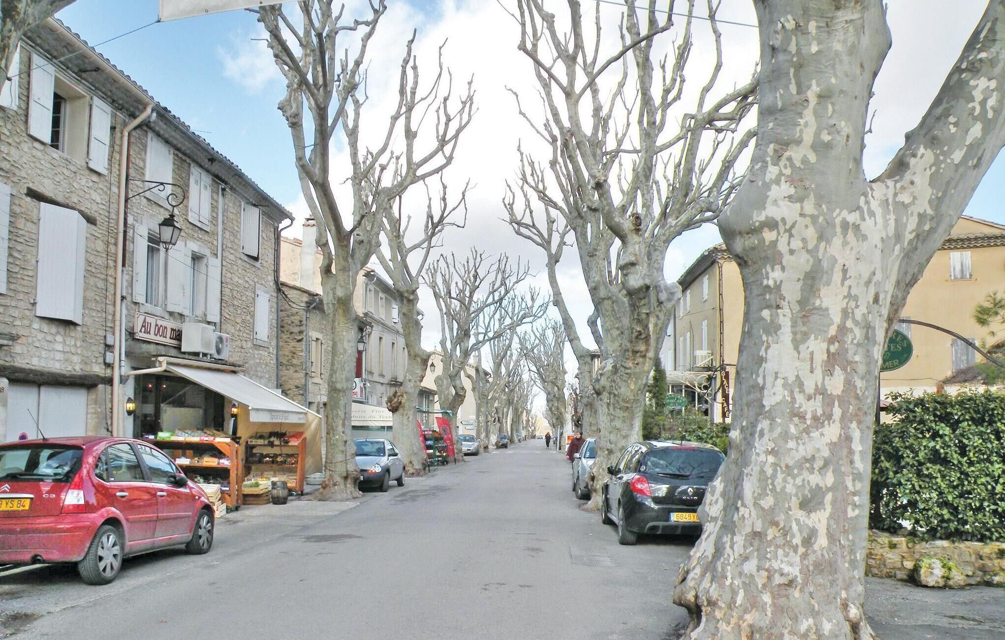 A narrow street lined with bare trees and buildings, including a visible shop with a sign that reads "Au bon matin".