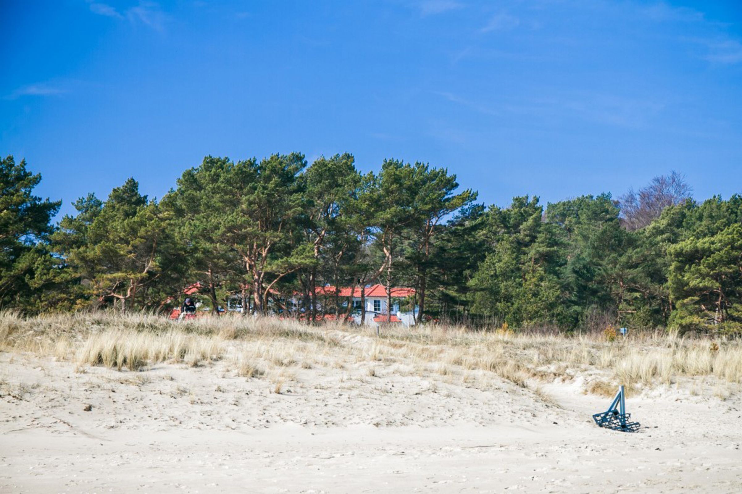 Una playa con un edificio al fondo, rodeada de árboles.