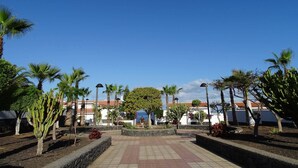 Un patio con palmeras, un camino empedrado y edificios al fondo.
