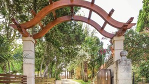 Un arco de madera que da a un sendero rodeado de árboles y un banco.