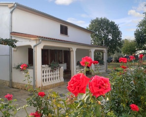 Extérieur