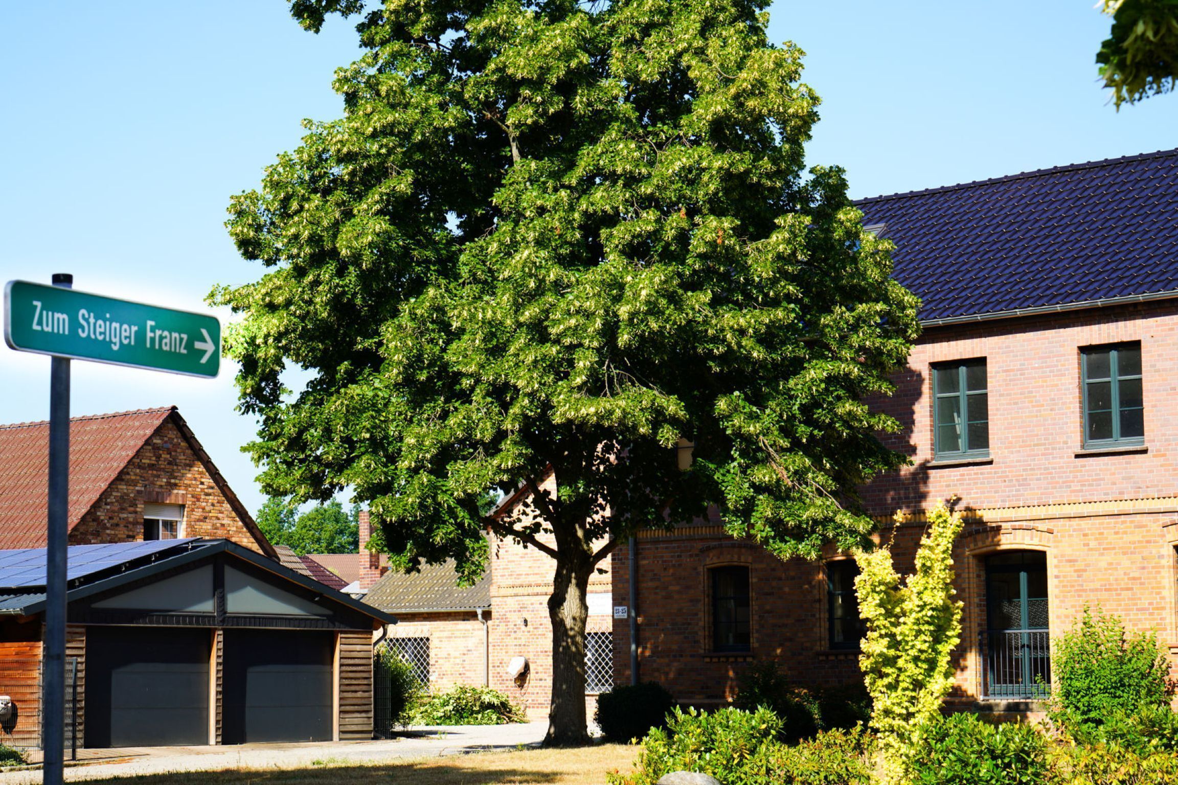 A residential area with a brick house, a garage, and a large tree.