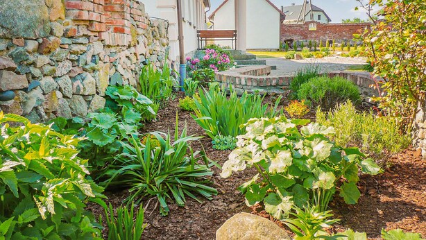 A garden with various plants and a stone wall. - Nice home in Pl-76-113 Postomino (Pl-76-113 Postomino)