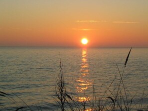 Unclassified image, 4 of 19, button