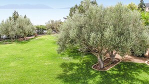 A well-maintained lawn with a tree in the foreground and a clear view of the sky and distant mountains. - Soleiliosonne Haus Zeus (Ermioni)