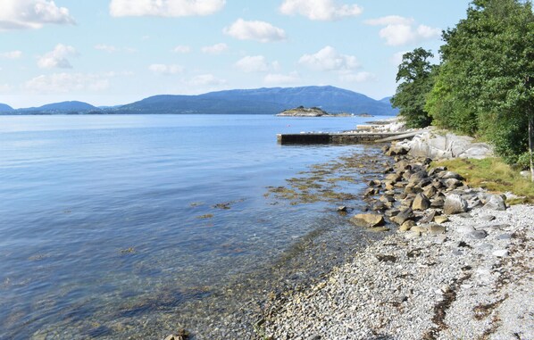 بالقرب من الشاطئ، صيد الأسماك