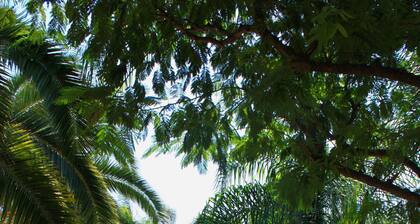 Apartamento vacacional en medio de la naturaleza mediterránea con barbacoa