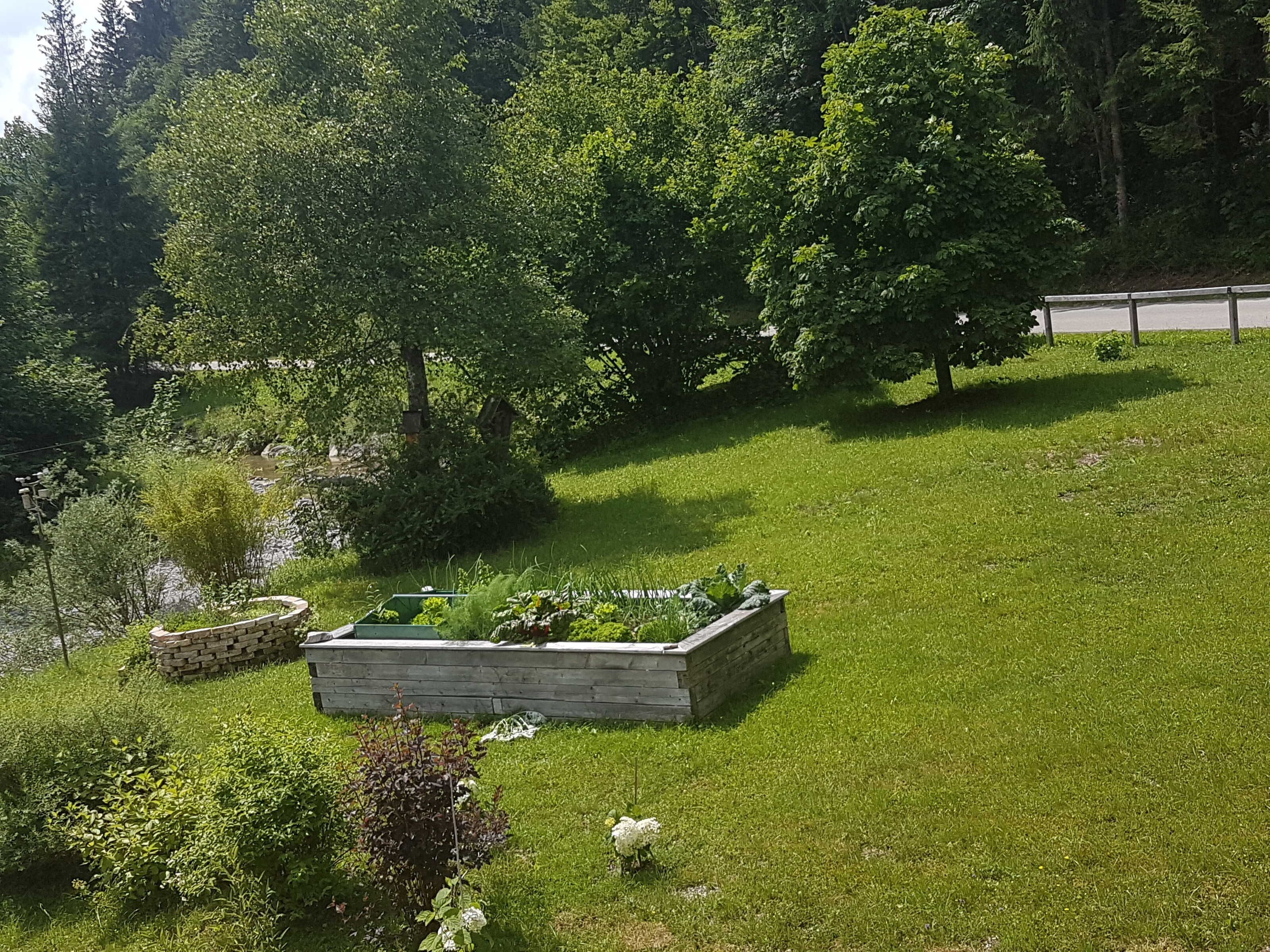 Un jardín con un jardín elevado, un pequeño estanque y árboles frondosos.
