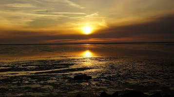 Vlak bij het strand