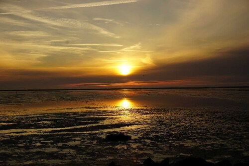 Maison jumelée Domicile Friedrichskoog